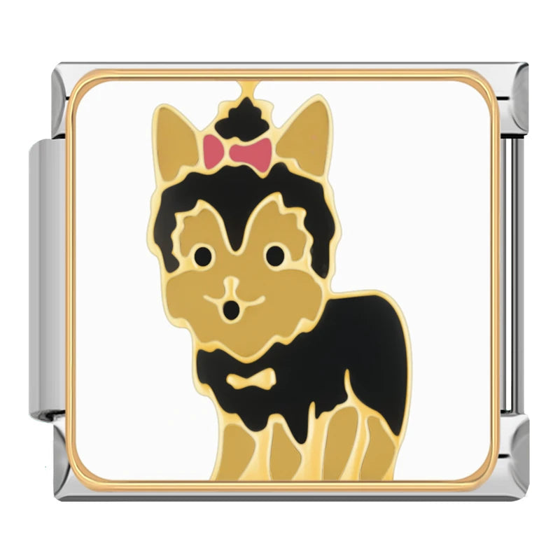 Yorkshire Terrier Dog